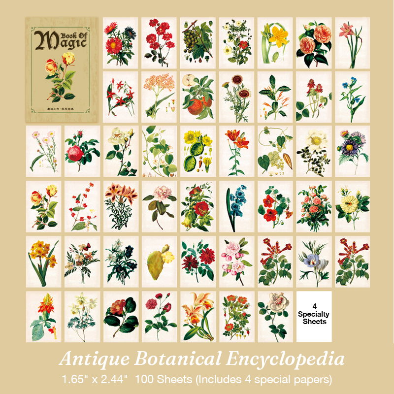 Antique botanical encyclopedia flower illustration magic book stickers