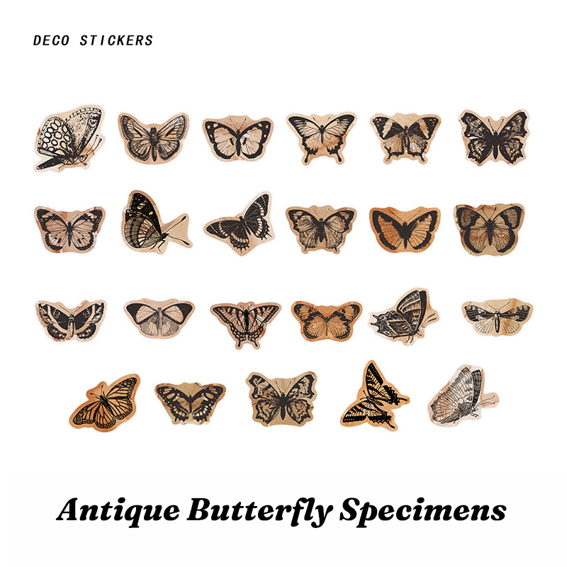 Antique butterfly specimen vintage scrapbooking sticker box