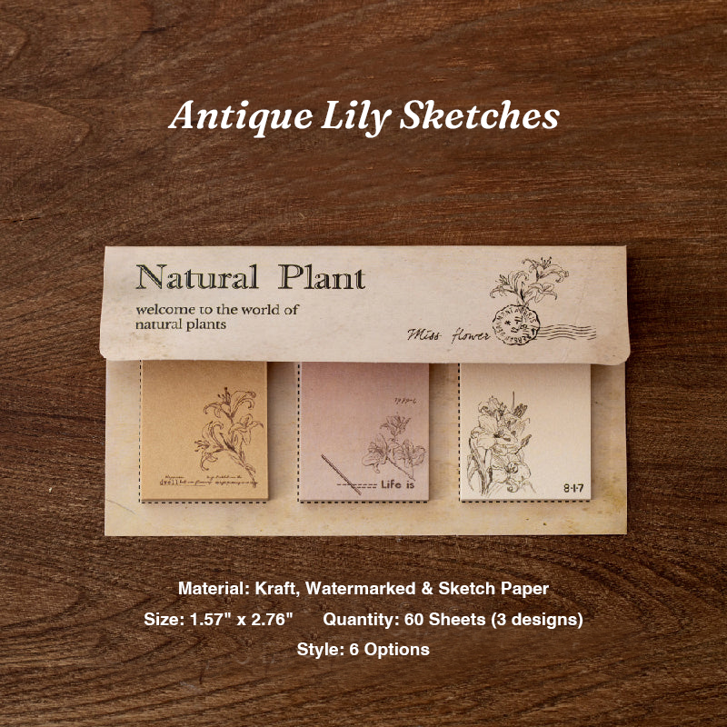 Vintage lily flower botanical sketch sticky notes for planner