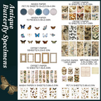 Antique butterfly specimens entomology junk journal supplies