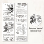 Botanical Journal washi tape with vintage foliage drawing tutorials and tree sketch studies in black ink