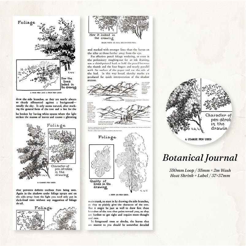 Botanical Journal washi tape with vintage foliage drawing tutorials and tree sketch studies in black ink