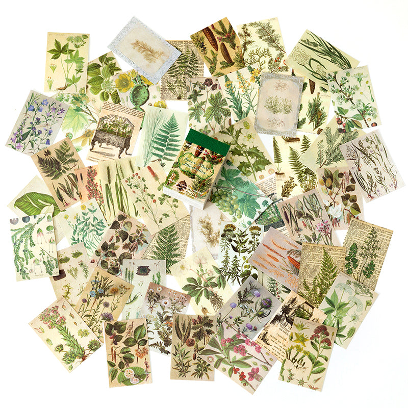Botanical Plates theme — 100-piece grid of botanical print papers