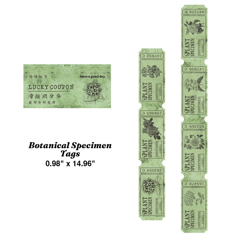 Botanical specimen tags die-cut writing paper tape
