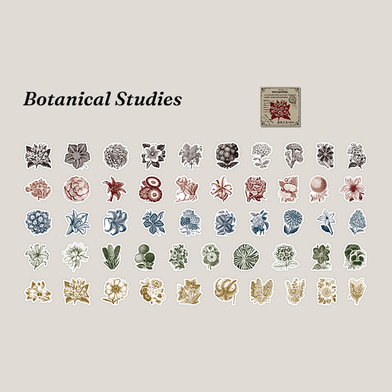 Botanical studies monochrome floral sketch stickers for nature journaling