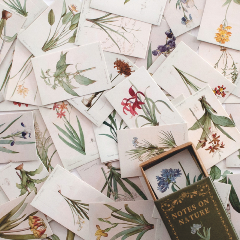 Botanical nature notes mini ephemera cards