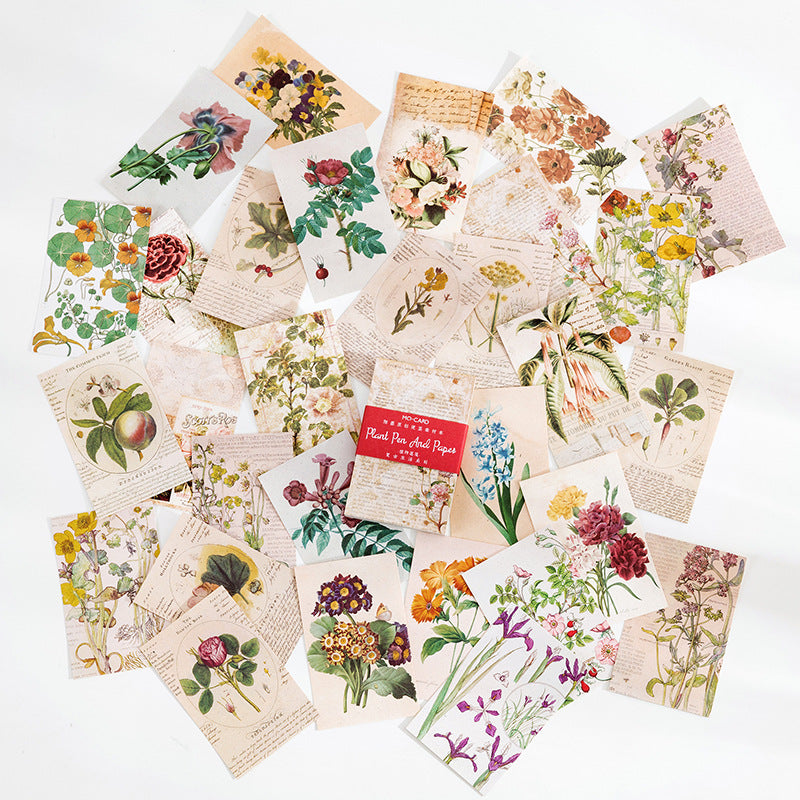 Botanical Notes theme — pile of botanical sketch papers