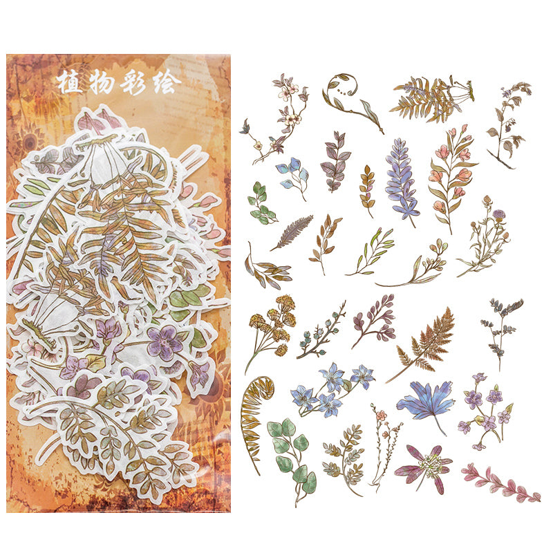 Botanical sketches and plant illustration washi stickers for bullet journal