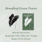 Vintage wooden rubber stamp Broadleaf Green Traces variant showing carved tropical leaf stamp face and packaging card, 1.96 x 1.96 inch beech wood block for journal stamping
