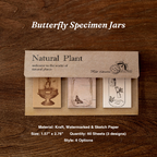 Antique butterfly specimen jar illustrations on kraft paper sticky notes