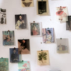 Daily journal translucent vellum stickers featuring 366 unique vintage designs for memory keeping
