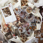 Daytime Sweet Talk design - Paris cafe scene washi stickers