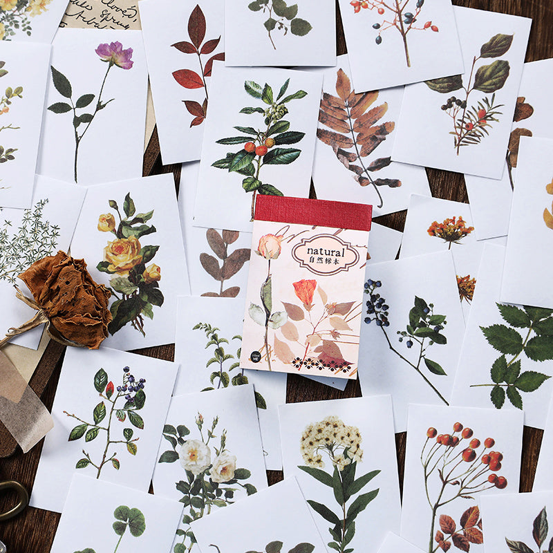 Dreamer's Reverie washi sticker book detail - vintage scrapbook stickers for junk journaling