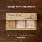 Vintage mushroom illustrations cottagecore sticky note pad