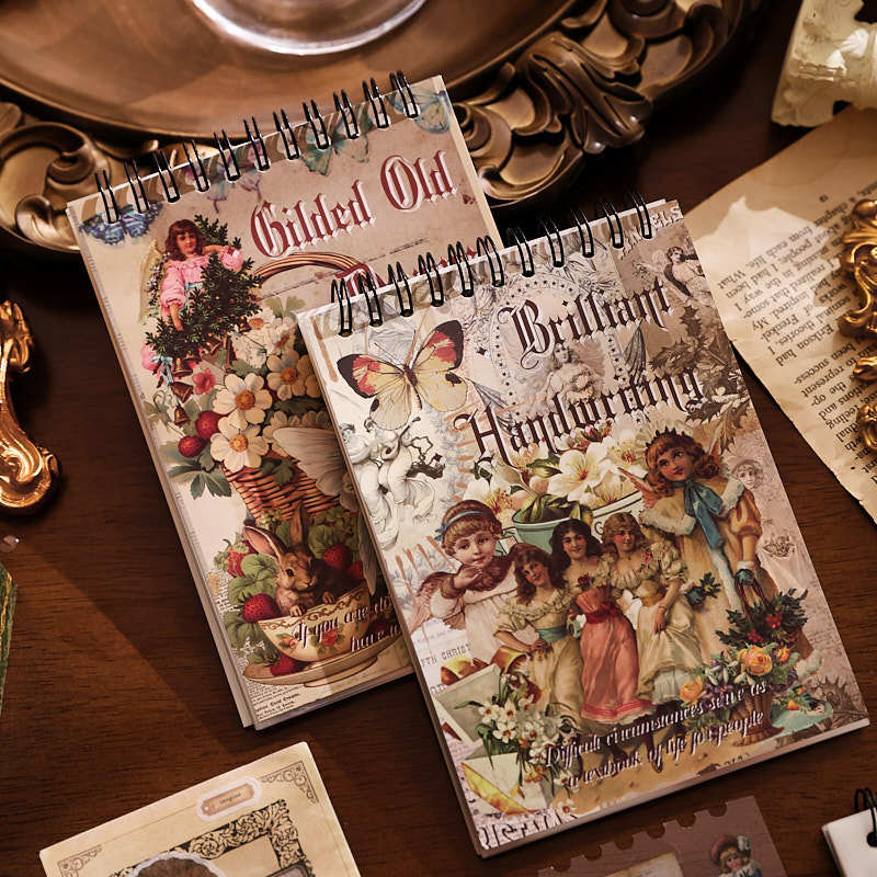 dream parade sticker book set brilliant handwriting and gilded old dreams vintage covers