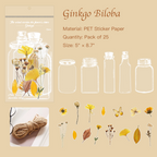 Ginkgo biloba letter PET stickers featuring elegant leaf designs for nature themed scrapbooking
