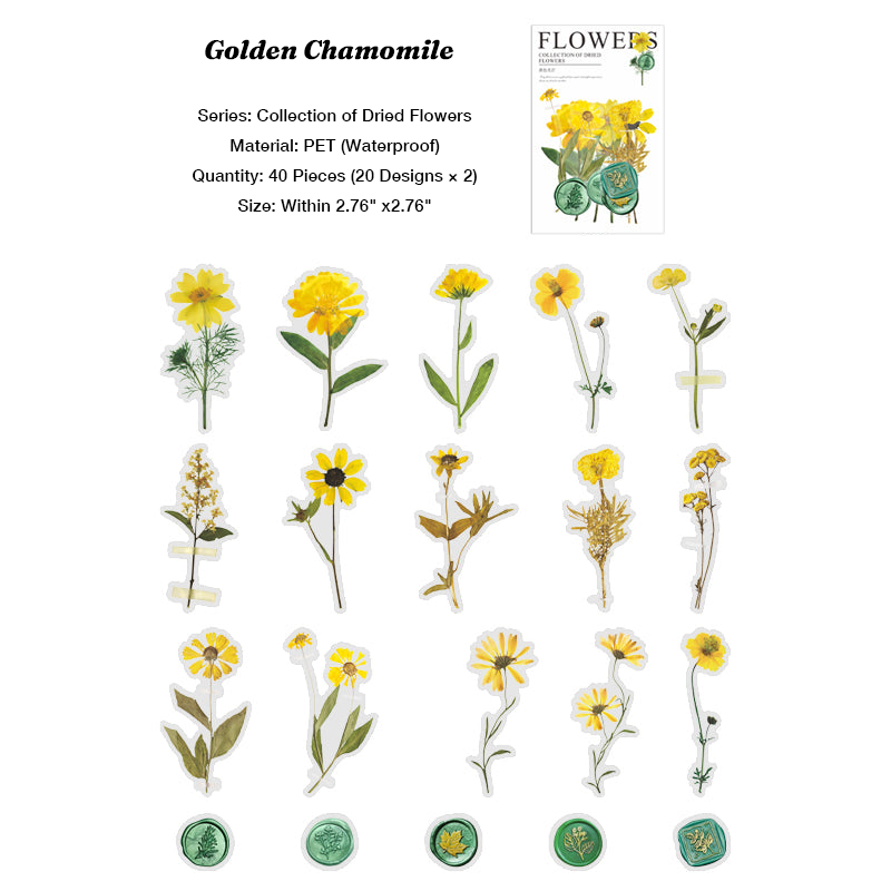 Yellow wildflower and chamomile stickers transparent PET material for spring theme