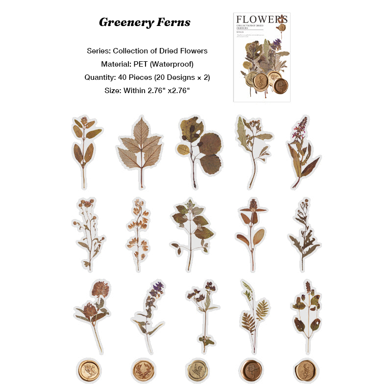 Green fern leaves and eucalyptus stickers nature foliage specimen for cottagecore style