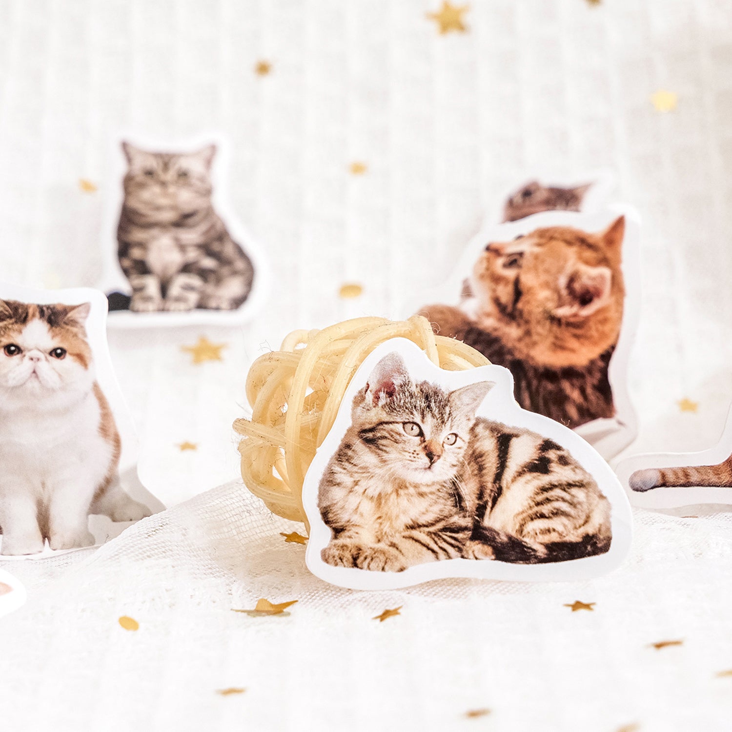 Close-up of 45pc kitty selfie stickers featuring cute orange cats in playful and realistic poses