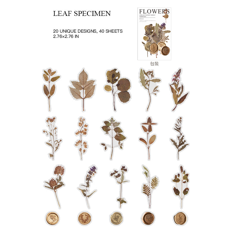 Leaf Specimen - vintage botanical wax seal sticker with pressed leaves
