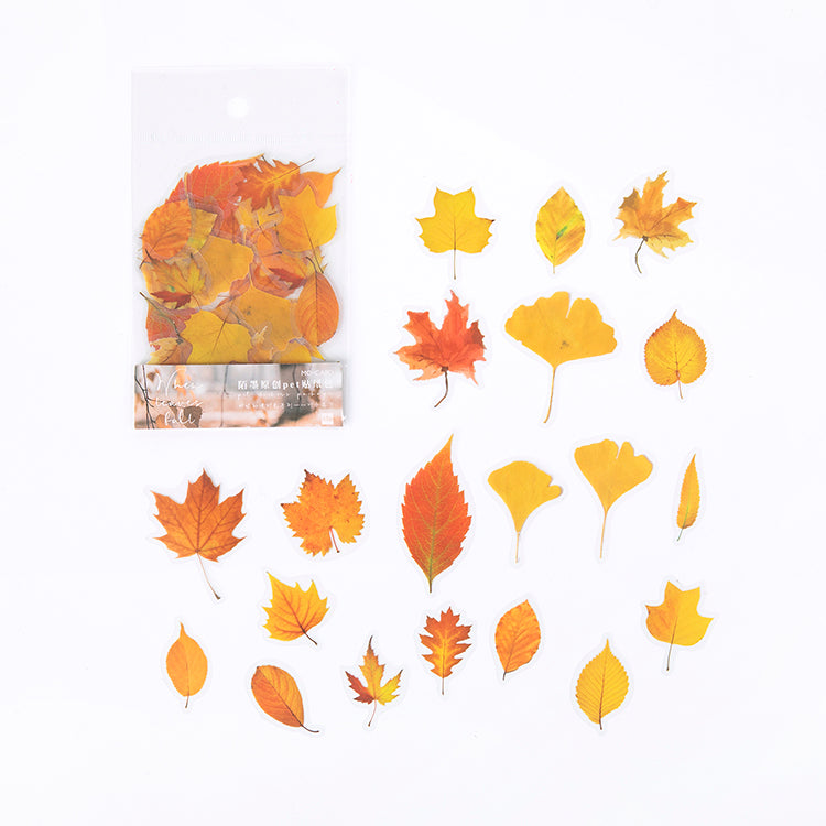 Leaves Fall PET sticker - Nordic autumn theme for journaling
