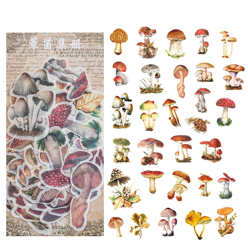 Mushroom field guide botanical washi stickers for nature scrapbooking