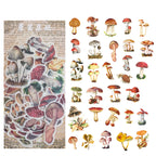 Mushroom field guide botanical washi stickers for nature scrapbooking