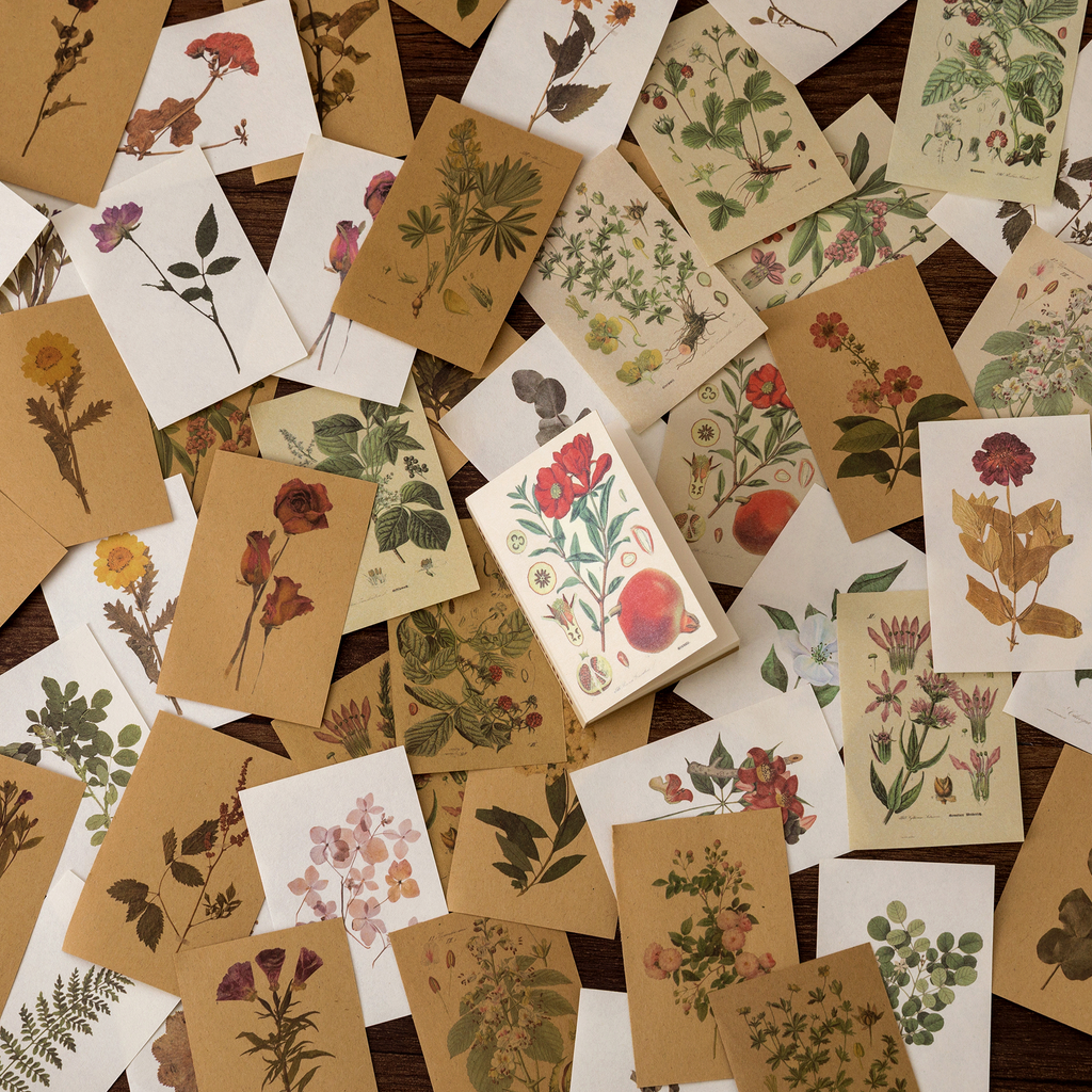 Nature Collection design - botanical vintage mini journal