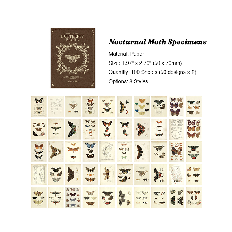 Nocturnal moth specimens vintage entomology journal paper