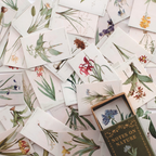 Notes on Nature vintage mini cards featuring botanical illustrations and natural elements