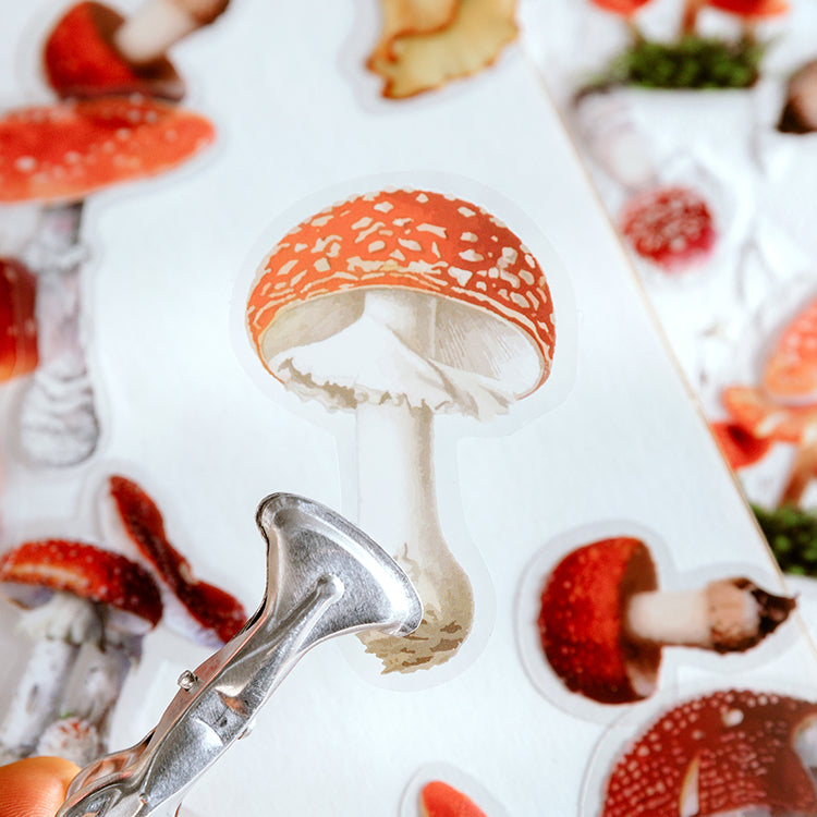 Waterproof PET stickers application - laptop and mug decoration