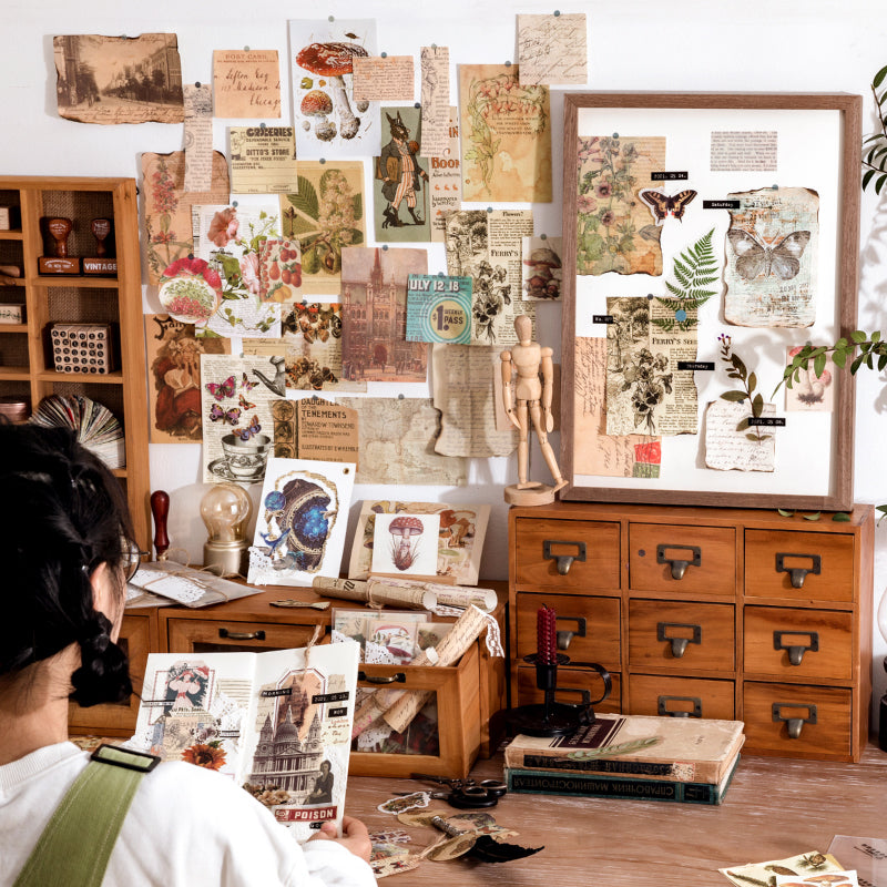 Vintage specimen stickers displayed on a gallery wall with frames and dresser