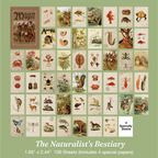 Antique naturalist bestiary animal and bird illustrations magic book stickers