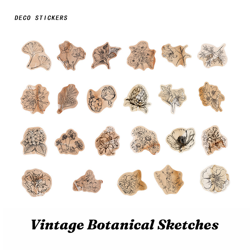 Vintage botanical sketches and flower illustration stickers