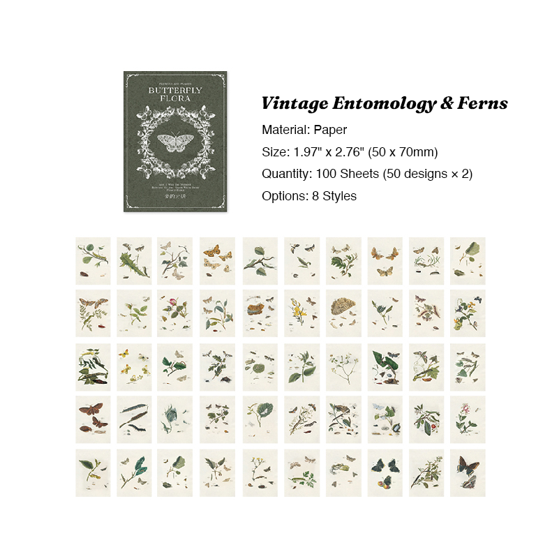 Vintage entomology and ferns pocket paper pad