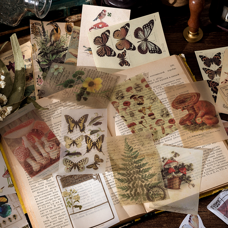 Vintage mixed media sticker collection - 60 pieces in decorative box
