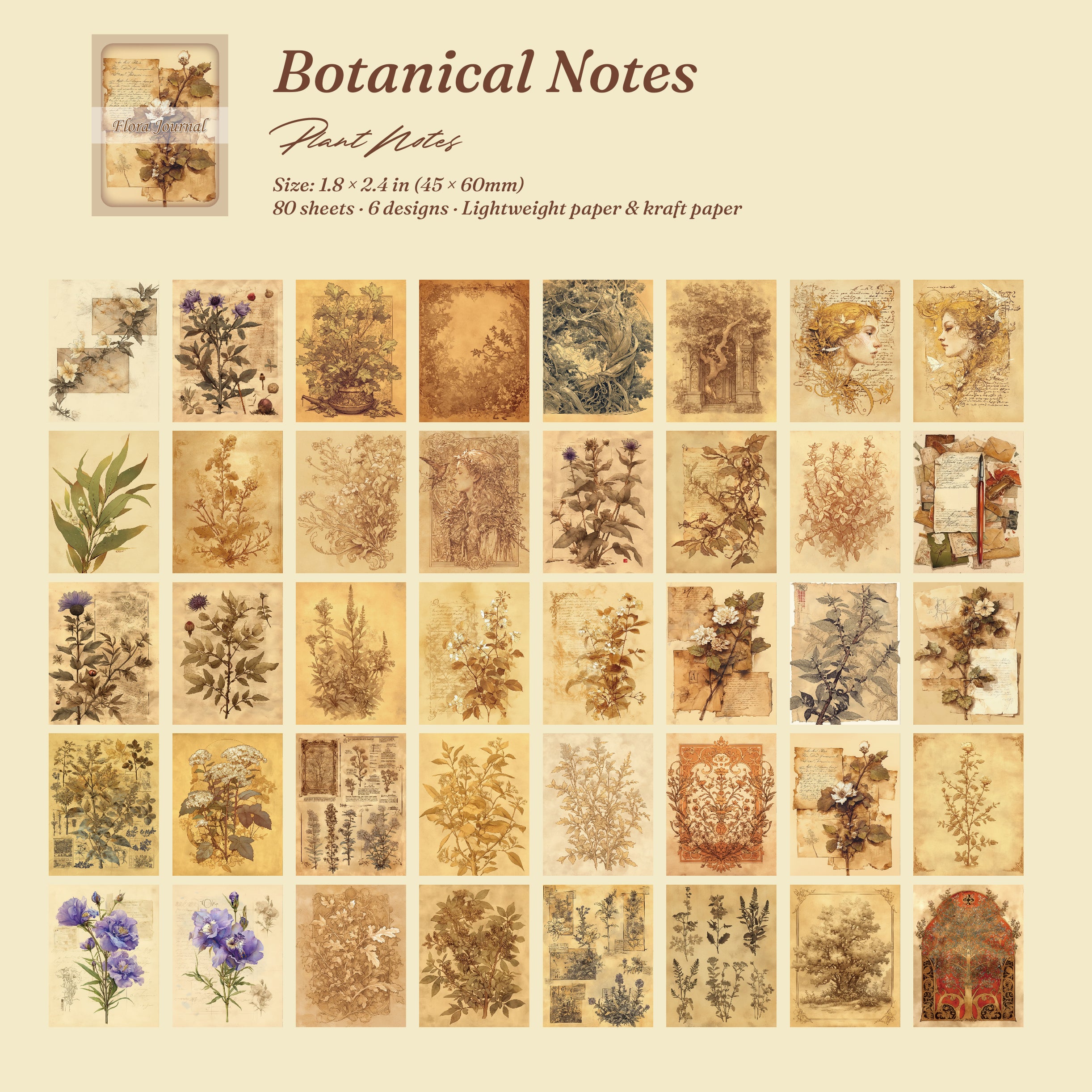 Botanical Notes vintage ephemera card set with 80 sheets of pressed flowers and plant illustrations in warm earth tones.