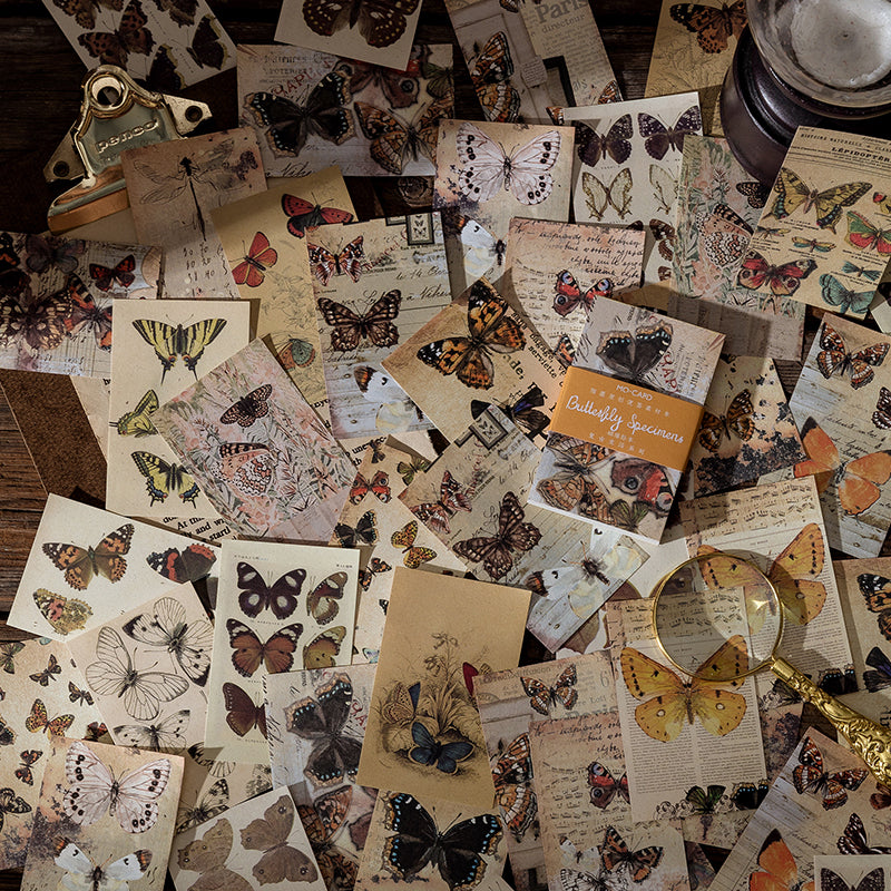  Overhead view of butterfly specimen vintage papers scattered across a dark wooden desk beside a brass magnifying glass and bulldog clip — dozens of illustrated moth and butterfly sheets from the Butterfly Specimens theme