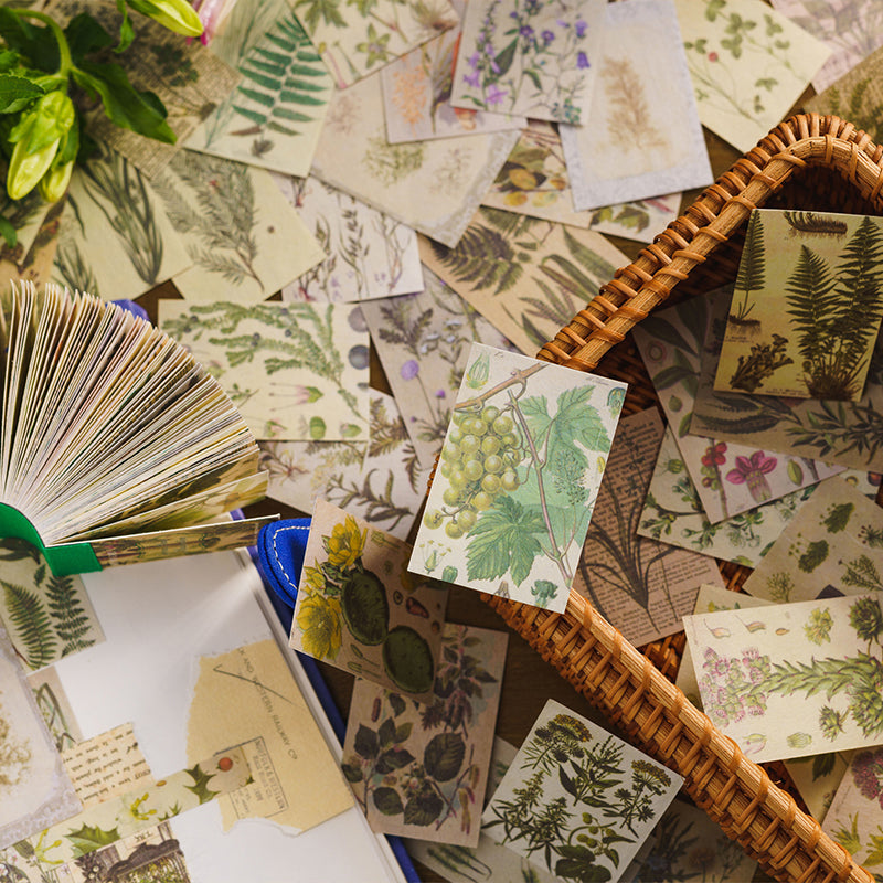 Hundreds of botanical ephemera paper sheets scattered across a surface beside a wicker basket and fanned sticker book — ferns, pressed flowers, grape vines and herb illustrations in muted green tones