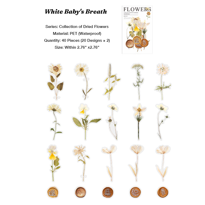 40pcs Realistic Pressed Flower PET Stickers (Large) - "Nature Specimen" Waterproof Botanical Series