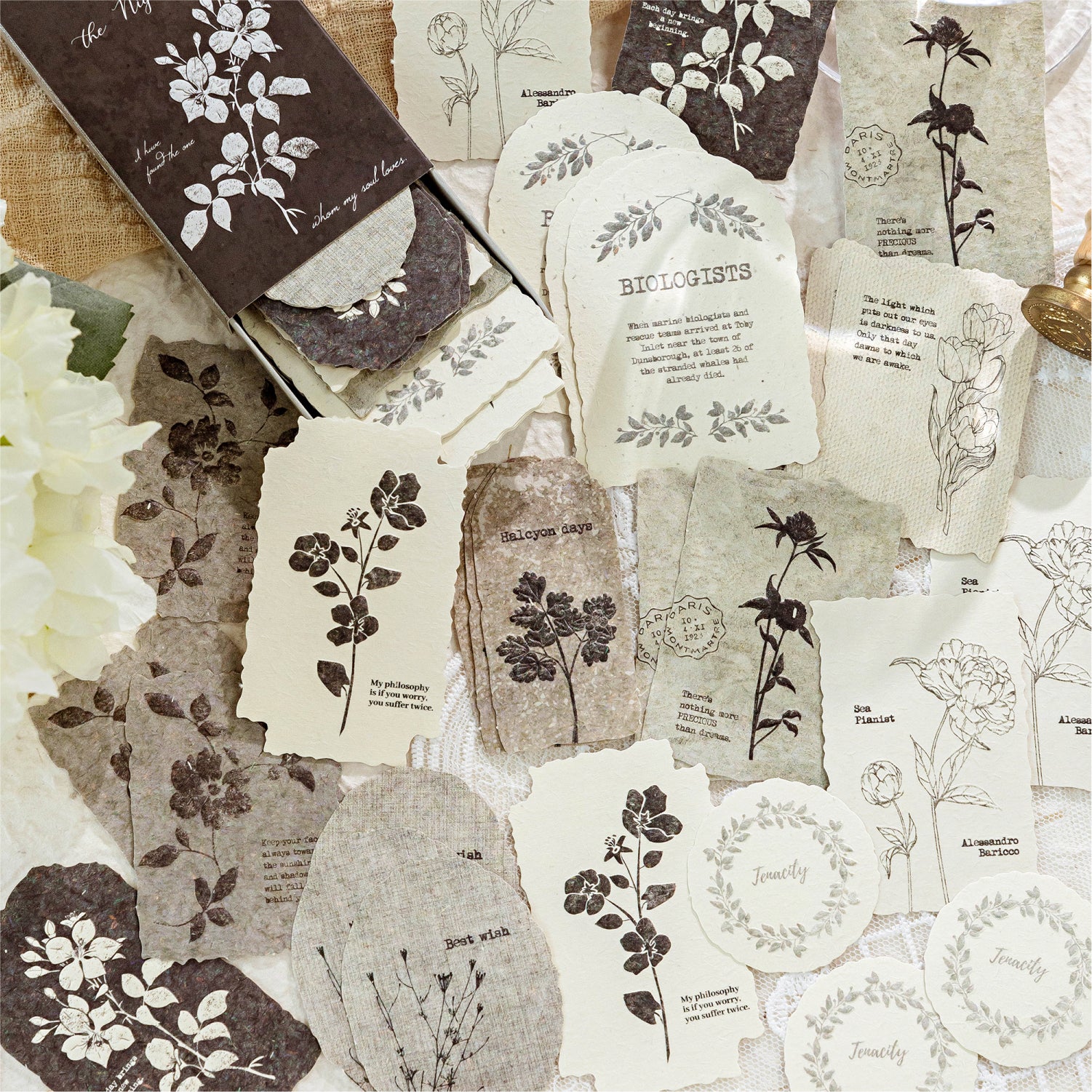 Light green botanical embossed paper stickers scattered vintage journal ephemera