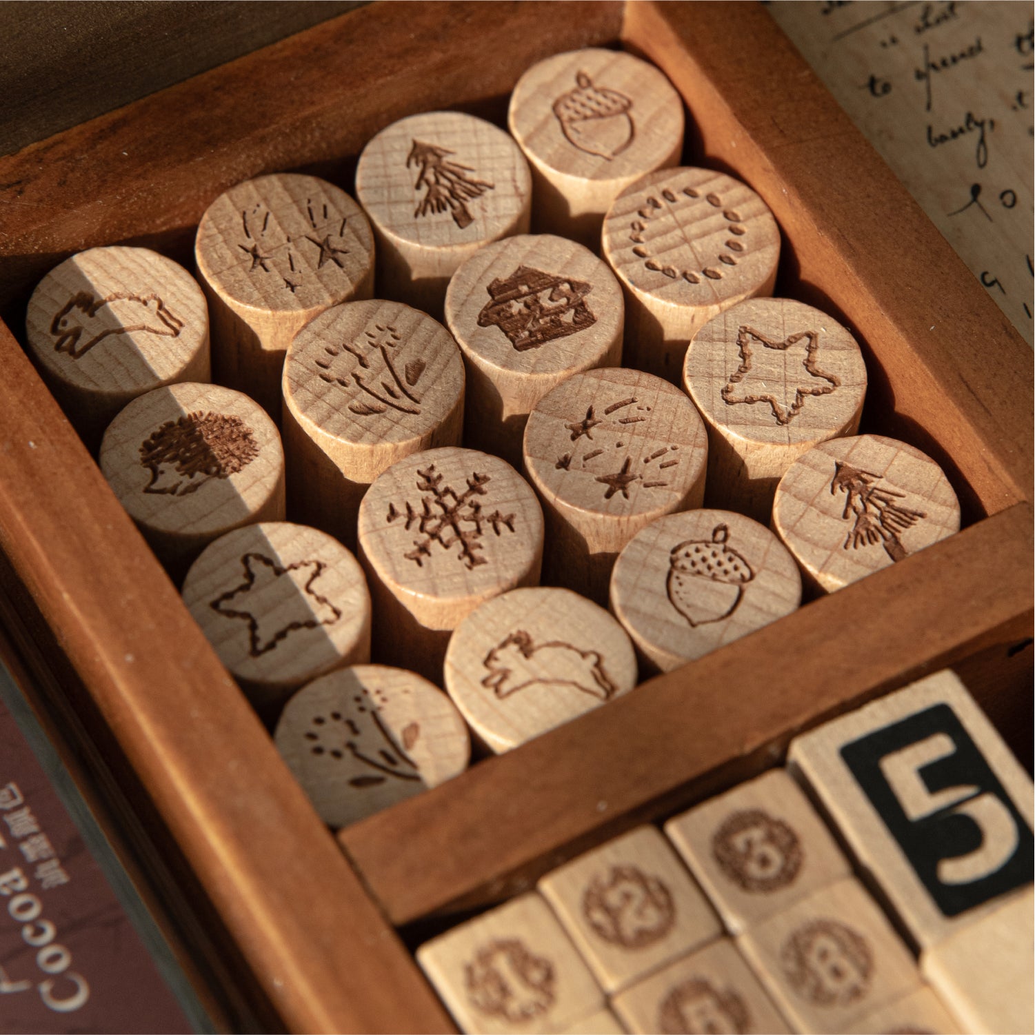 Miniature beech wood stamps with forest motifs stored in vintage wooden box, warm natural light.