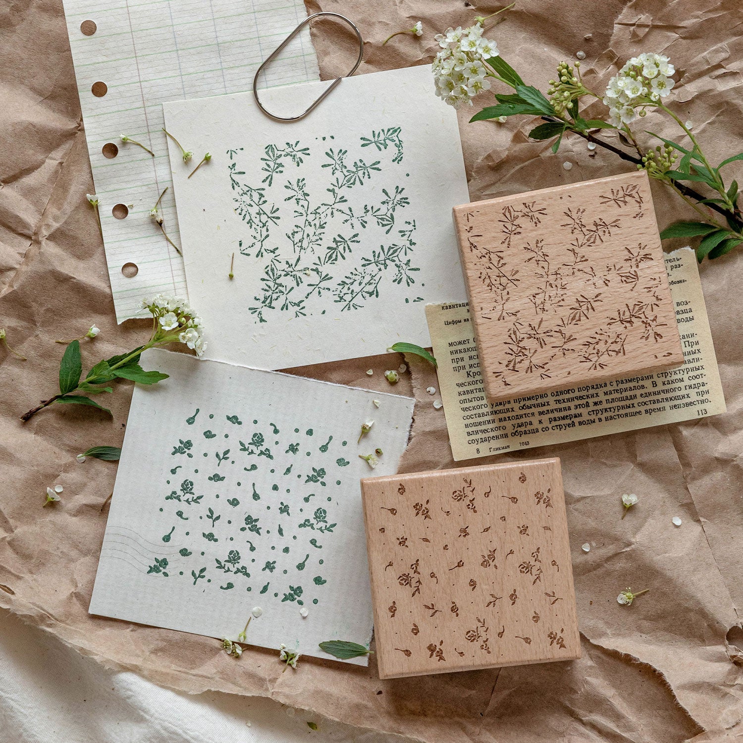Botanical romantic background stamp with green floral impressions on kraft paper, white flowers and vintage book pages